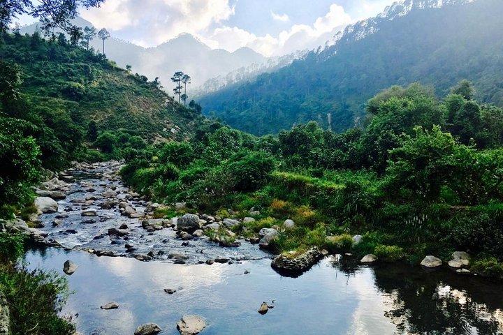 2-day Camping Trip in Chanfi, Uttarakhand 
