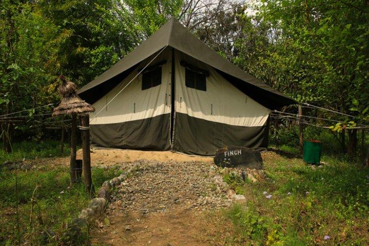 Ramnagar Camping Trip