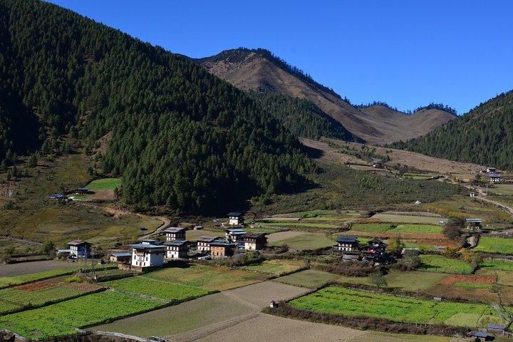 Bhutan Walking Holidays - Beyond the Clouds