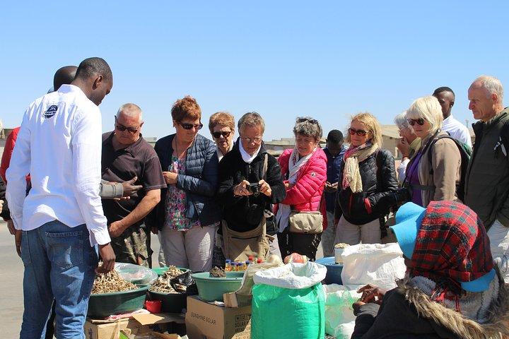 Swakopmund Historical Local Cultural Experience Day Tour for Cruise Ships