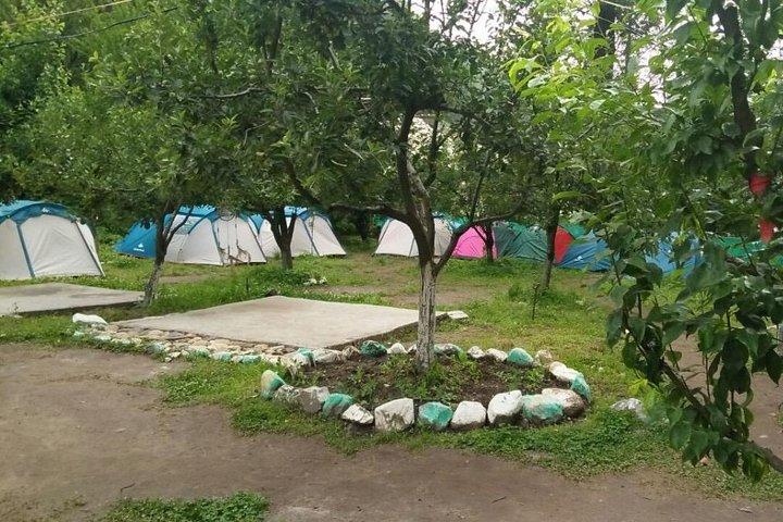 Camping in Kasol 