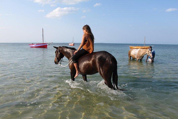 Horse Ride Ocean Walk in Vilankulos, Mozambique