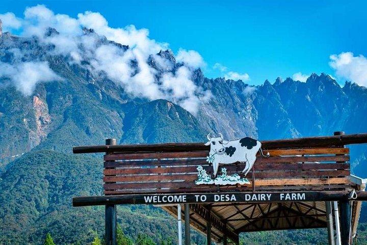 Kinabalu Park With Rumah Terbalik & Desa Cow Farm