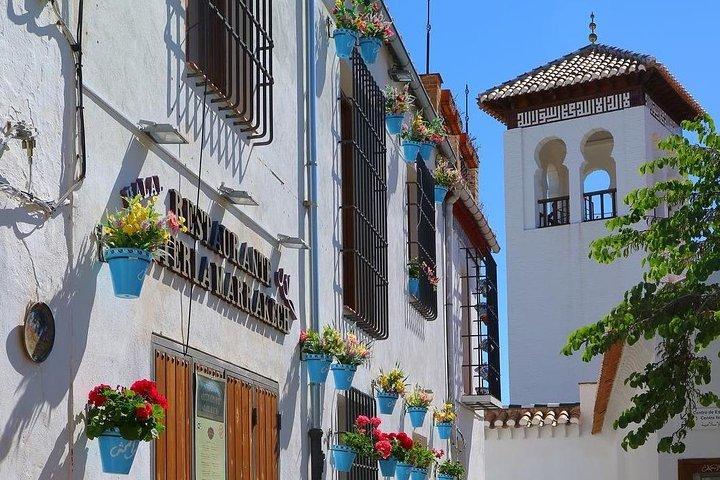 Granada's Heritage Private Tour of Albaicín,Sacromonte & Sagrario
