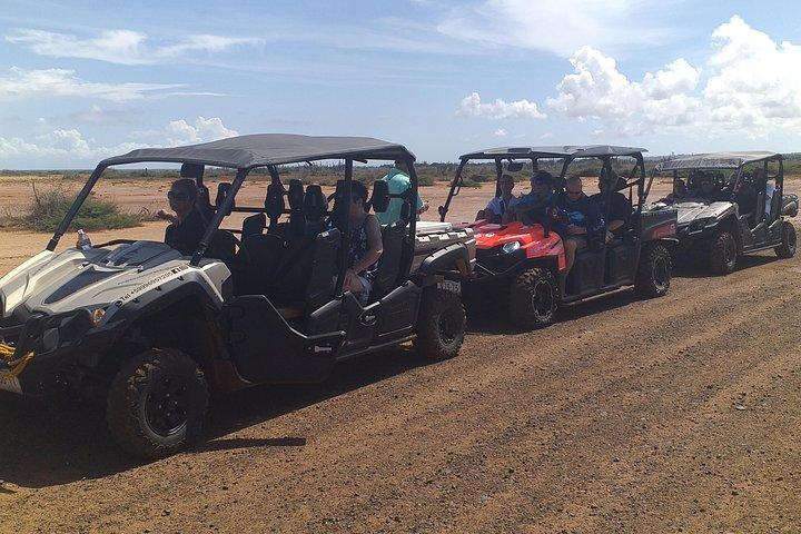 Buggy Tours in Curacao
