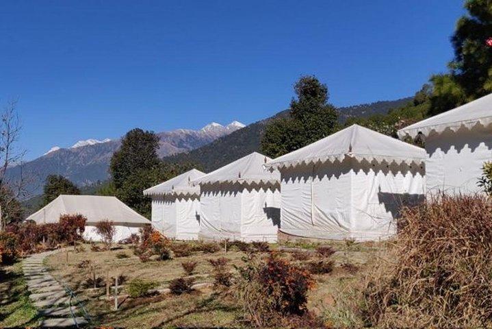 Camping in Bir Biling with Swiss tent stay 