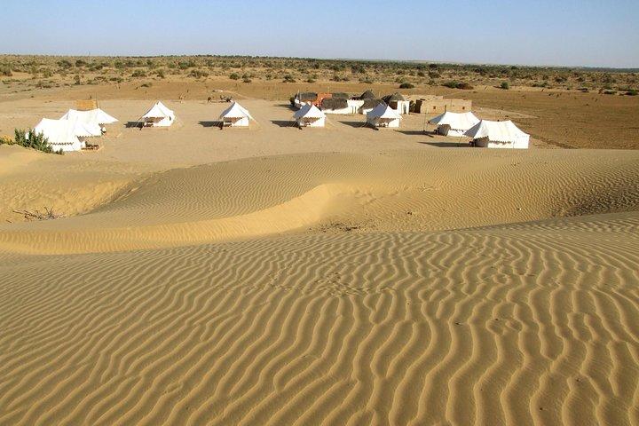 A Night in Thar Desert – Unforgettable Luxury Camel Safari