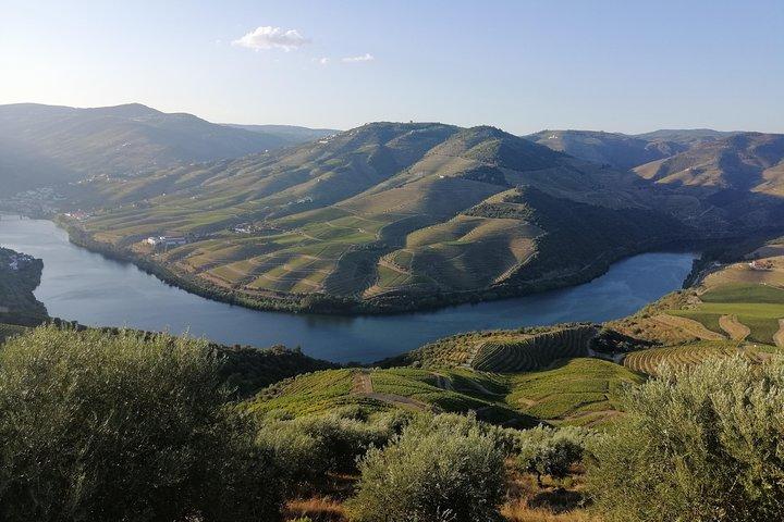 Hiking Through Douro Valley Wine Region