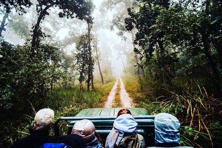 Chitwan Jungle Safari Guided Private Day Tour