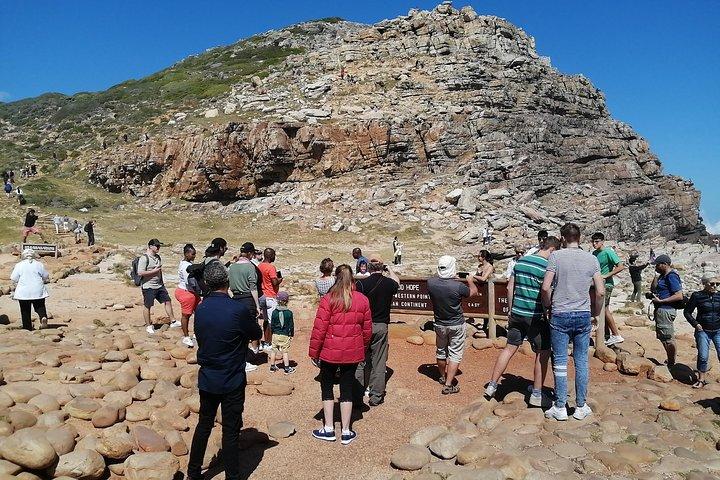 Best of Cape Exclusive Tour : Penguins & Vineyards in Constantia