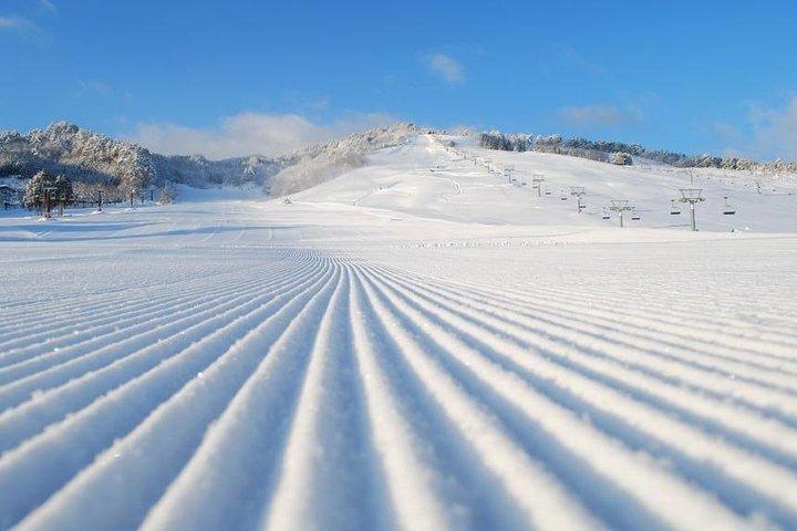 Snow Activities in Takayama Skiing / Snow bording / SnowShoeing / etc...