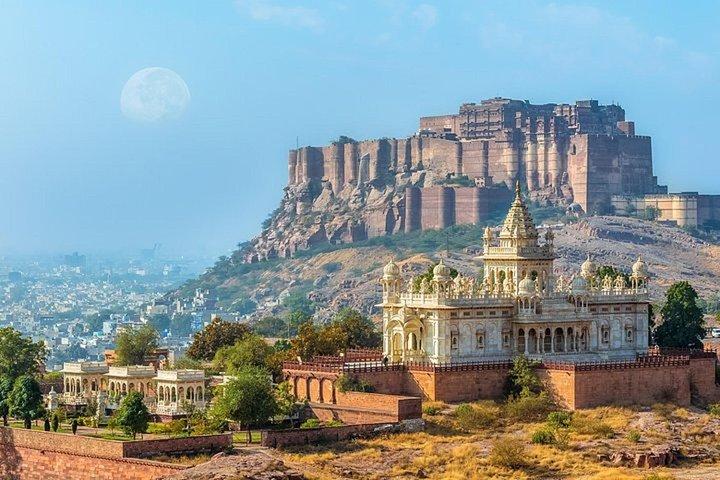 Highlights of the Jodhpur (Guided Full Day Sightseeing City Tour)