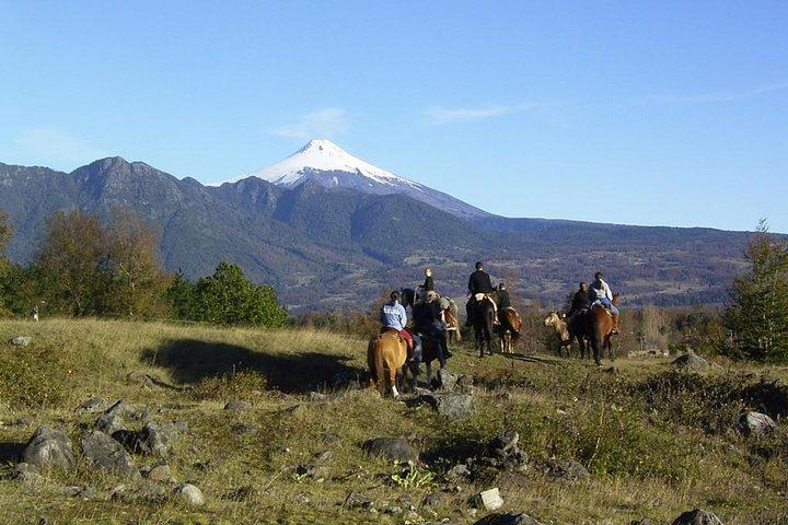 Horseback Trailride Excursion