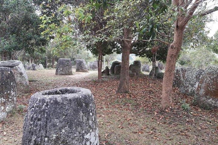 Plain of jars tour with local guide