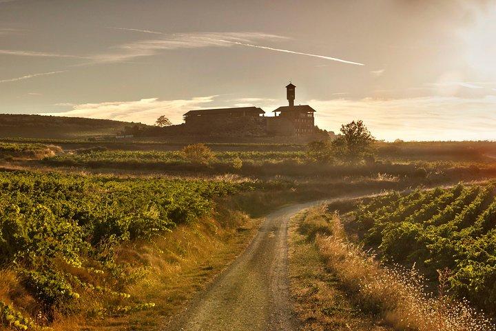 Rioja Wine Tour: 2 Wineries From Vitoria
