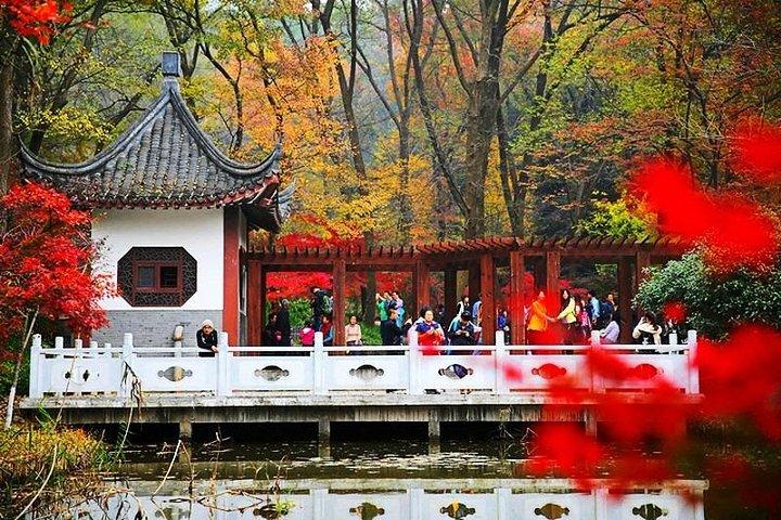 Nanjing Purple Mountain Private Tour with Tangshan Hot Spring Spa Experience