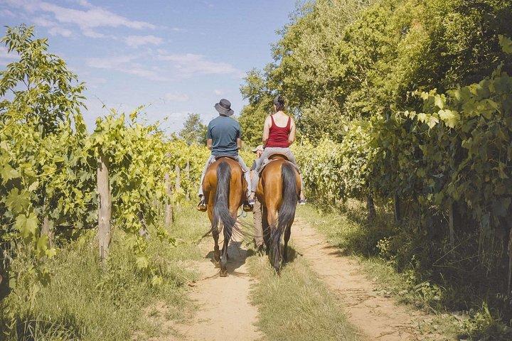 Horseback Riding Tour with Tuscan Picnic in Val d'Orcia and Valdichiana
