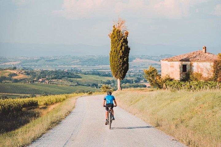 3-Hour Bike Tour and Wine in Tuscany: Nobile's Path