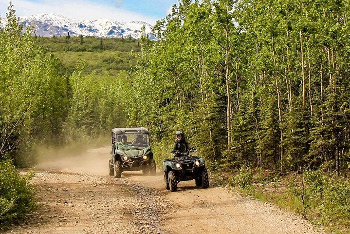 2.5-Hour Denali Wilderness ATV Adventure Tour