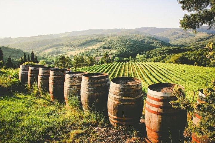 From Civitavecchia: Tuscany-Latium Wine Tour with Tastings