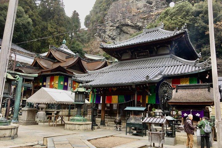 Full-Day Private Guided Tour to a Japanese Mountain near Osaka: Ikoma