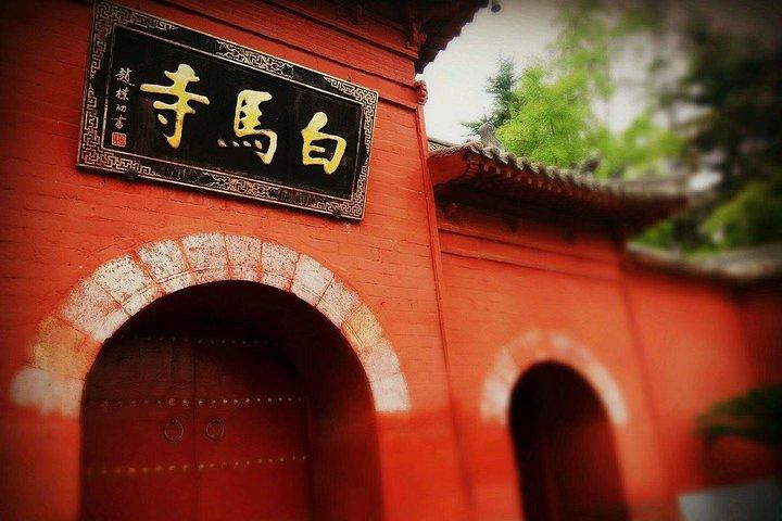 Private 3-day Henan Tour with Shaolin Temple, Longmen Grottoes and MORE!