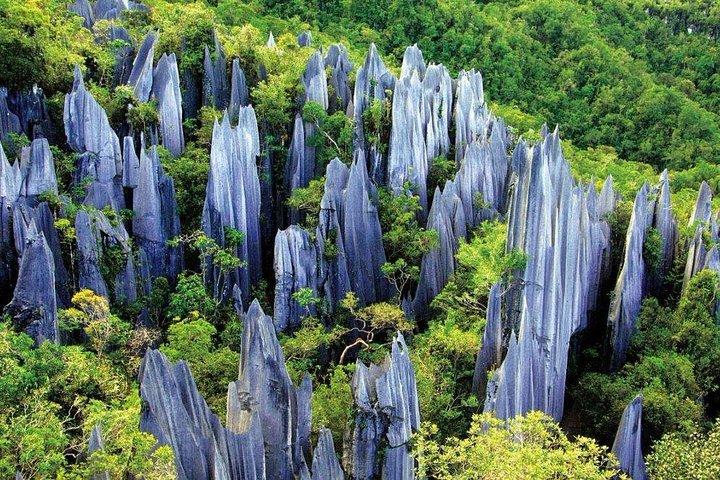3-Day Private Relaxing Tour of Kunming including Stone Forest