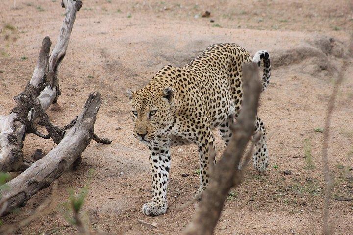 5 Day Kruger National Park tour
