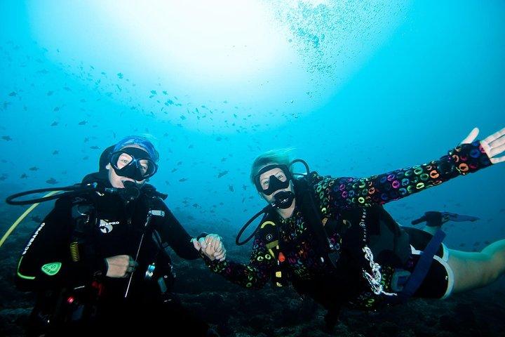 Nusa Penida Try Scuba Diving Program - for Non-Certified Divers