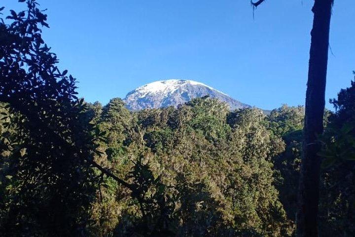 Best Kilimanjaro hiking day trip tour with Kilinge Adventures