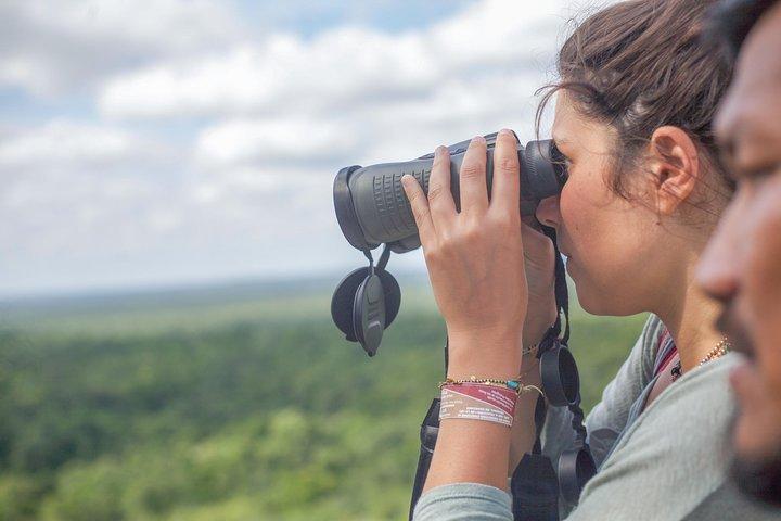 Birdwatching at The Mayan Cities with certified guide
