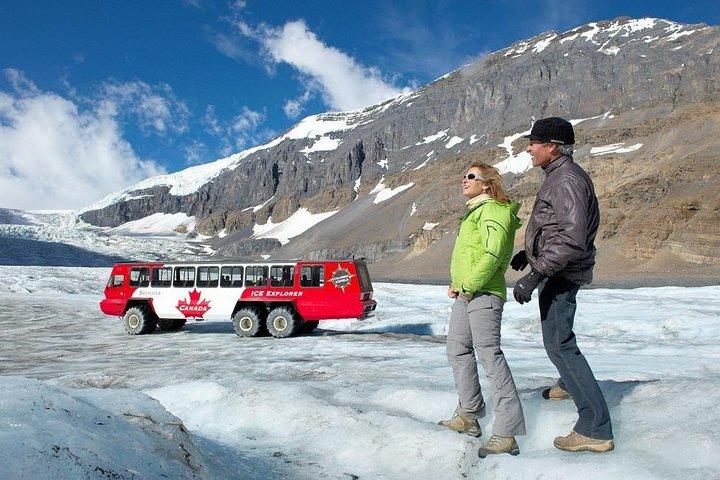 Glacier Day Tour: Calgary, Bow Lake, Columbia Icefield