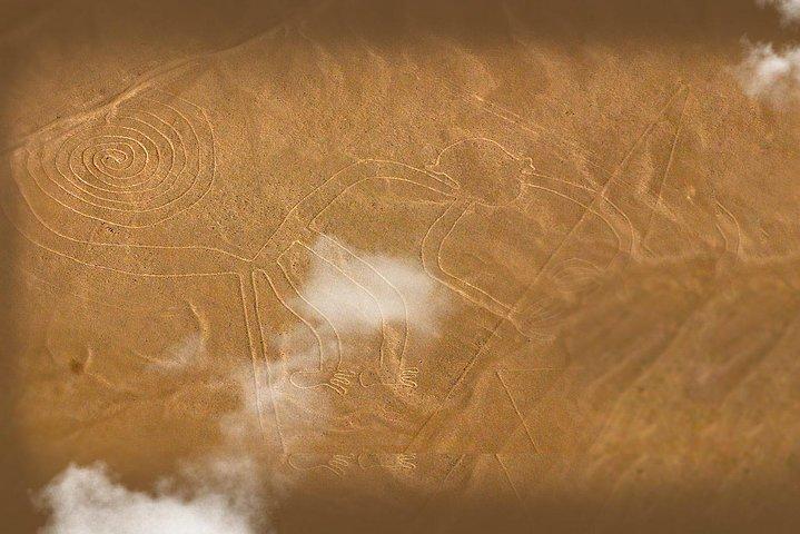 Nazca Lines and Dune Buggy (Huacachina) from Ica