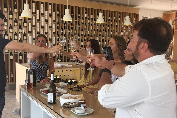 Alentejo Wine Tour from Évora