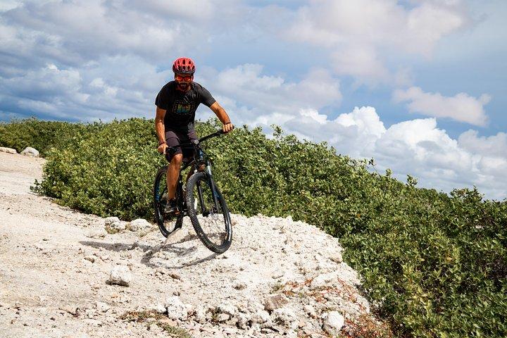 Mountainbike rental 1 week