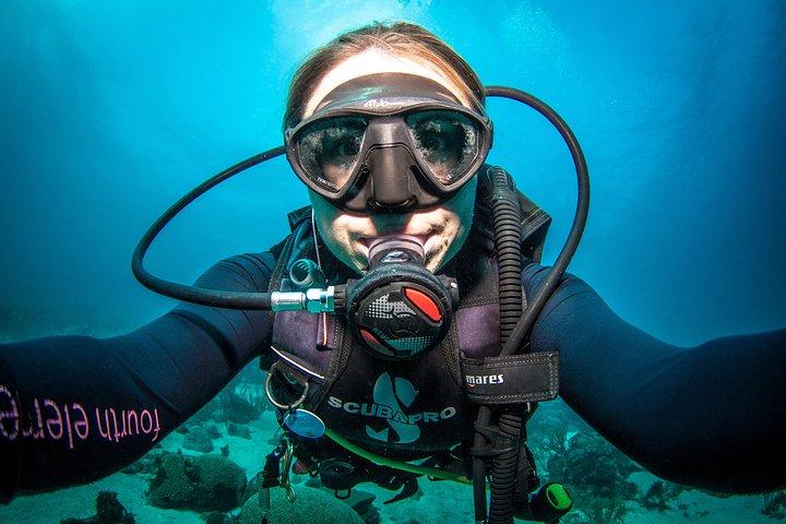 Guided Shore Dive for Certified Divers with Scubaçao (2 tank)