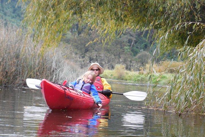 Medio Día de Kayak en el Lago Llanquihue