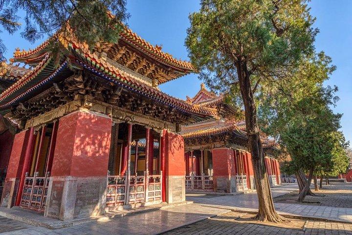 Qufu Private Walking Tour to Confucius Temple, Kong Mansion and Forest