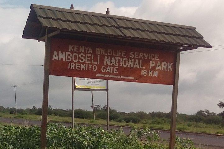 Amboseli Day Safari from Nairobi
