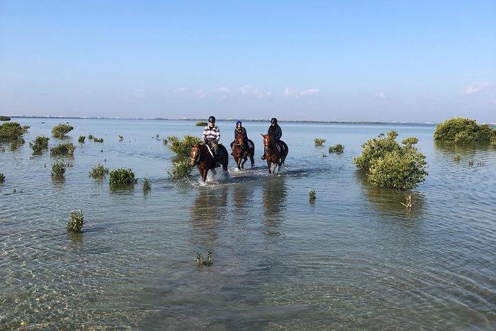 Mangroves ride