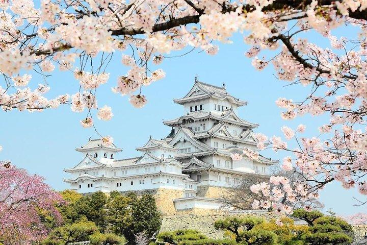 Himeji Full-Day Private Tour with Government-Licensed Guide