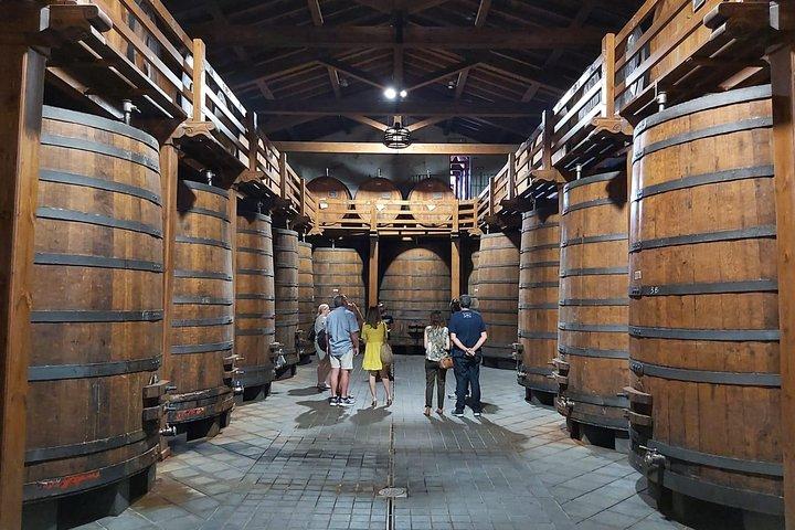 Etna Wineries Tour - Small Groups from Taormina 