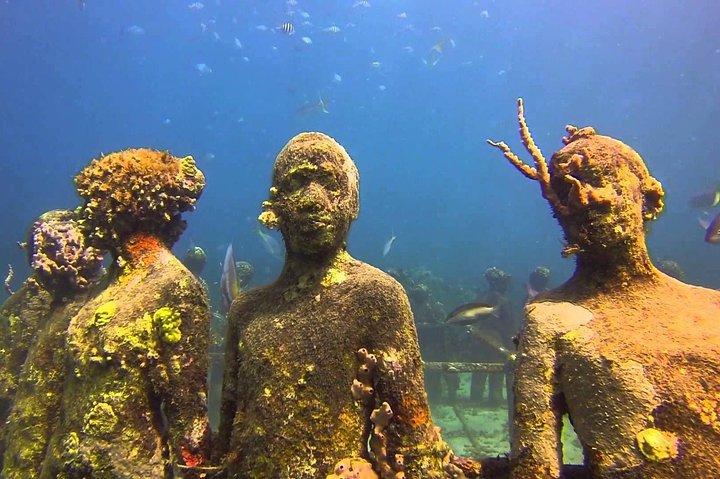 4-hour snorkel cruise to Underwater Sculptures with boat dogs