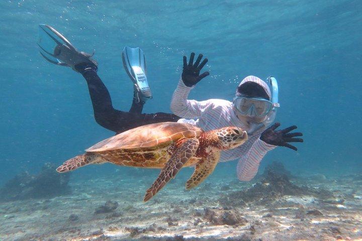 [Miyakojima Snorkel] Private tour from 2 people Let's look for sea turtles! Snorkel tour that can be enjoyed from 3 years old 