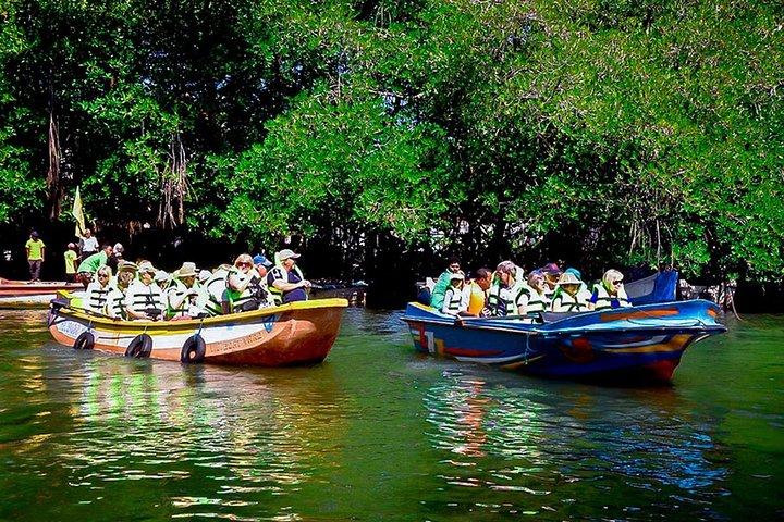 Madu River Boat Safari Balapitiya