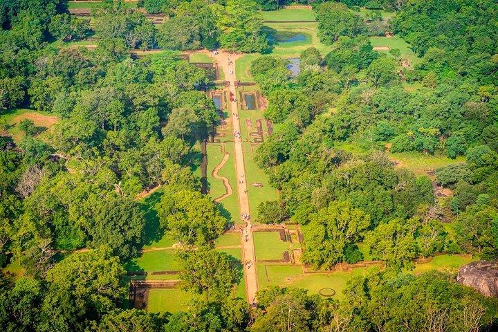 Sigiriya Rock And Jeep Safari All Inclusive Day Tour From Colombo