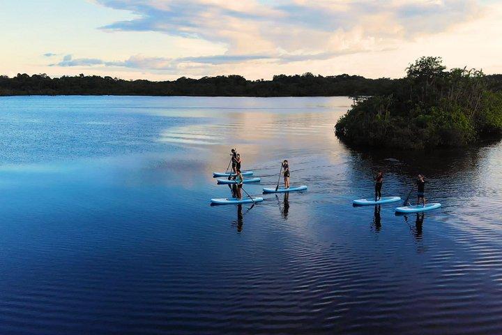 4 Days Paddle Boarding in the Cuyabeno Reserve