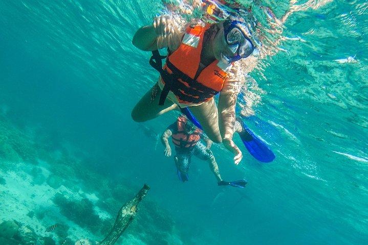 Isla Mujeres Snorkeling Tour Adventure