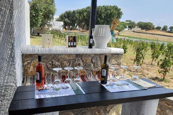Wine Tasting Tour at a traditional farm in Mykonos