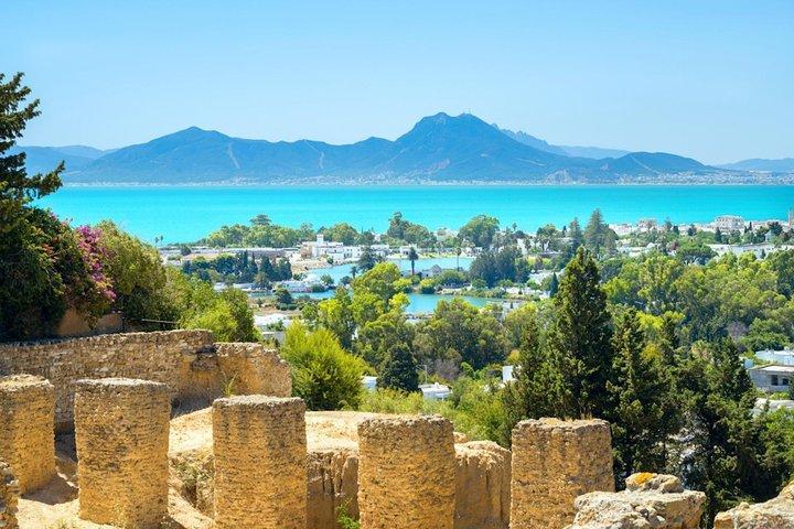 Carthage Discovery Half-Day Tour from Tunis or Hammamet